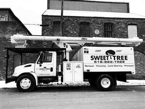 tree service hudson ny